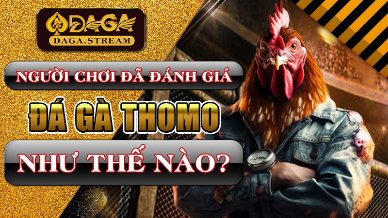 Người chơi đã đánh giá đá gà Thomo như thế nào?