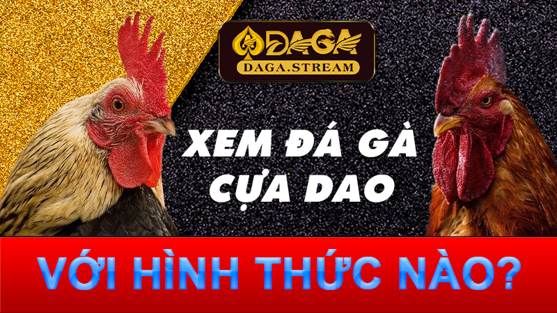 Xem đá gà cựa dao với hình thức nào?