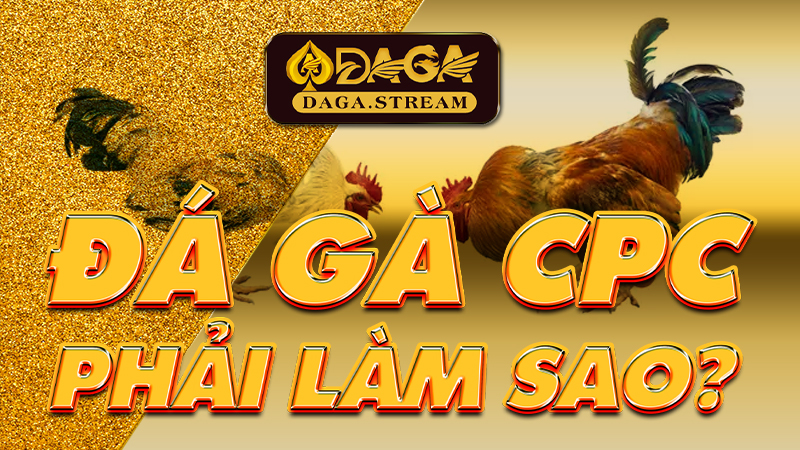 Muốn đá gà CPC1 phải làm sao?