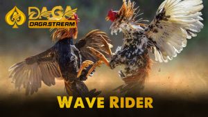 Thế lướt sóng kết hợp nhiều đòn khác nhau