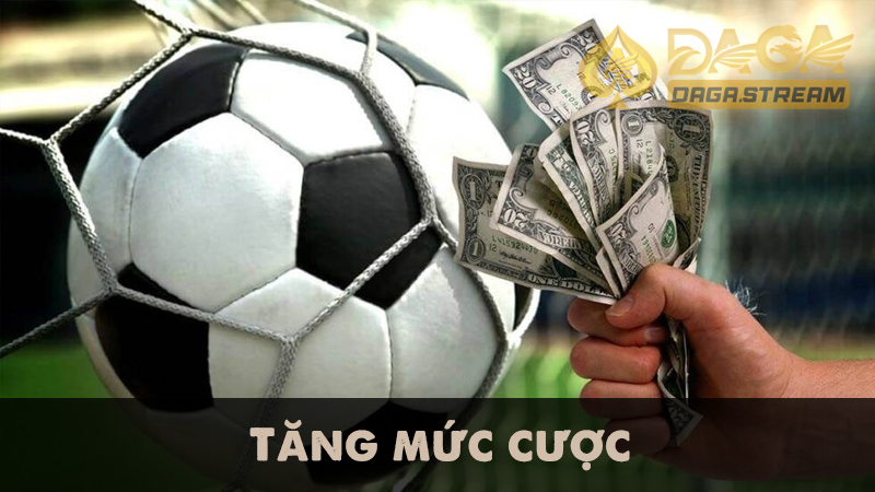 Tăng mức cược khi cảm thấy tiềm năng