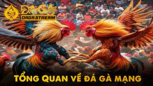 Đôi nét về bộ môn đá gà mạng