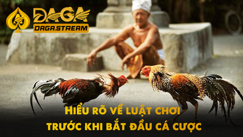 Nắm rõ luật chơi trước khi bắt đầu cá cược