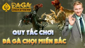 Luật đá gà miền Bắc chuẩn xác nhất từ A-Z